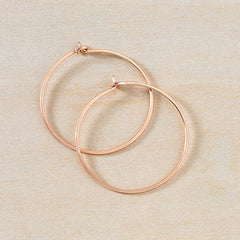 minimal large hoops - Freshie & Zero
 - 1
